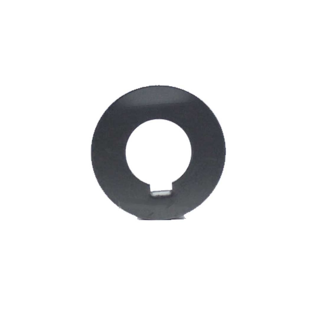 WASHER FLYWHEEL RD 45-65-75-85-105-115