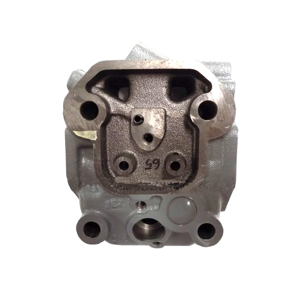 CYLINDER HEAD, ASSY RD 65