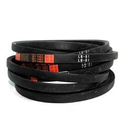 [36955] Mitsuboshi V Belt N2 LB81