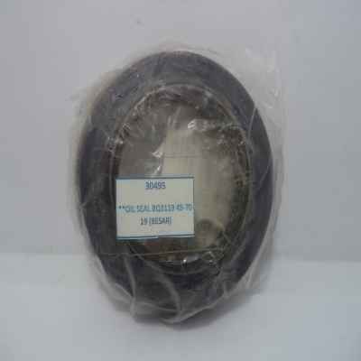 OIL SEAL BQ3119 45-70-19 (BESAR)