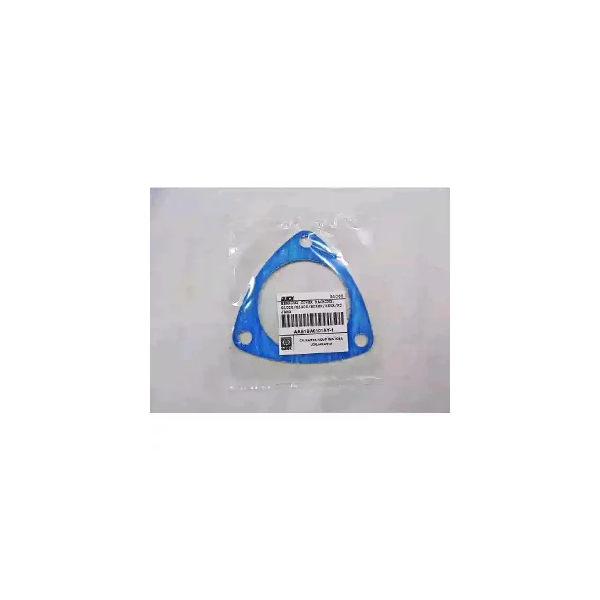 BEARING COVER PACKING G1000/G3000/ BOXER/ ZEVA / AAB1BA0101AY-1