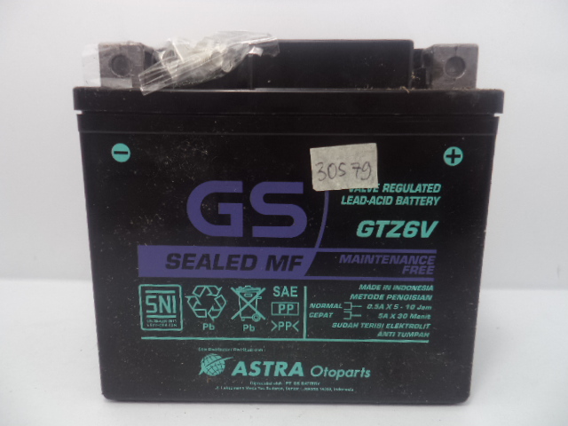 GS MOTOR ACCU GTZ-6V